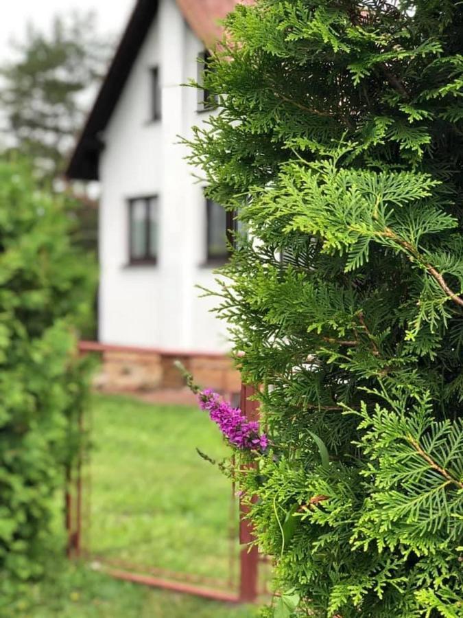 Chata U Smoliku Borovany  Zewnętrze zdjęcie