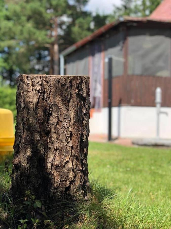 Chata U Smoliku Borovany  Zewnętrze zdjęcie