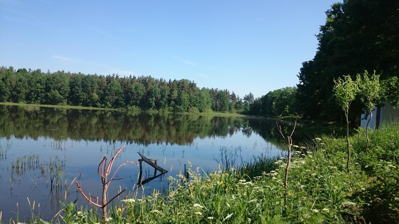 Willa Chata U Smoliku Borovany  Zewnętrze zdjęcie